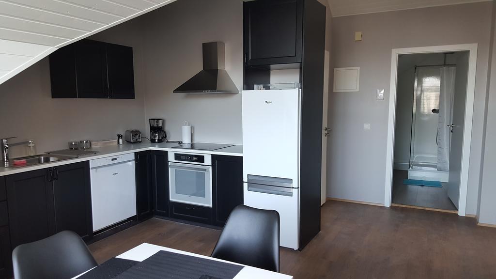 Reykjavik Rental Apartments Zewnętrze zdjęcie