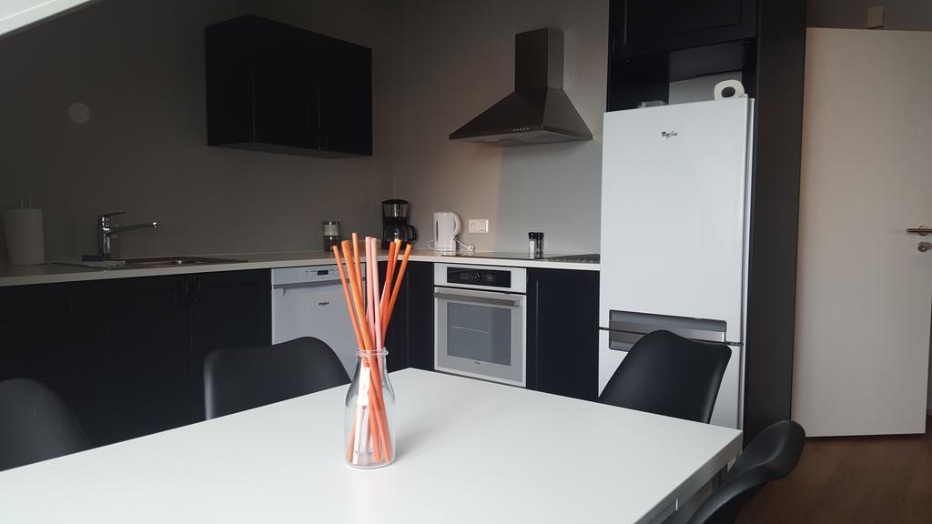 Reykjavik Rental Apartments Zewnętrze zdjęcie